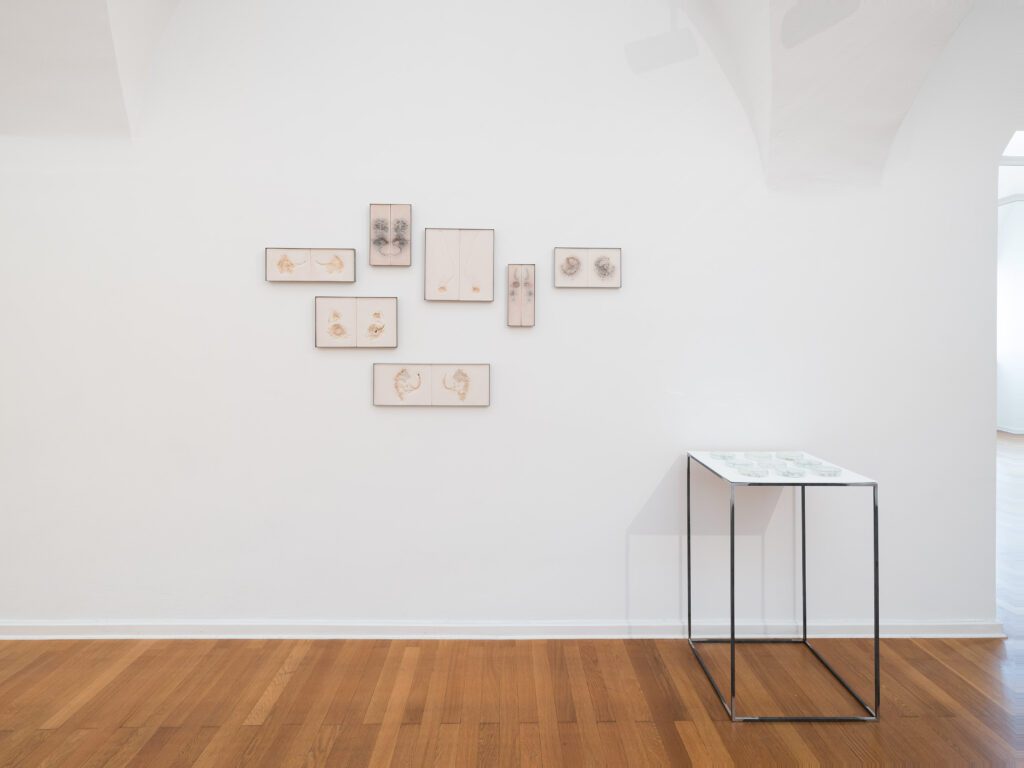 Keramikpreis-2025-Ausstellung-kunstraum-traklhaus-Barbara-Schmid-Foto-Rudolf-Strobl