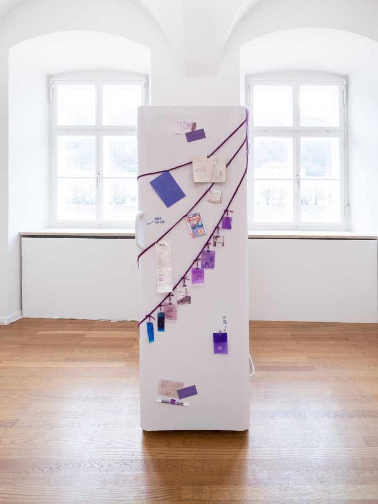 Ausstellung-plus20degree-Kunst-im-Traklhaus-2024-SVUNG-Foto-Rudolf-Strobl-6-1
