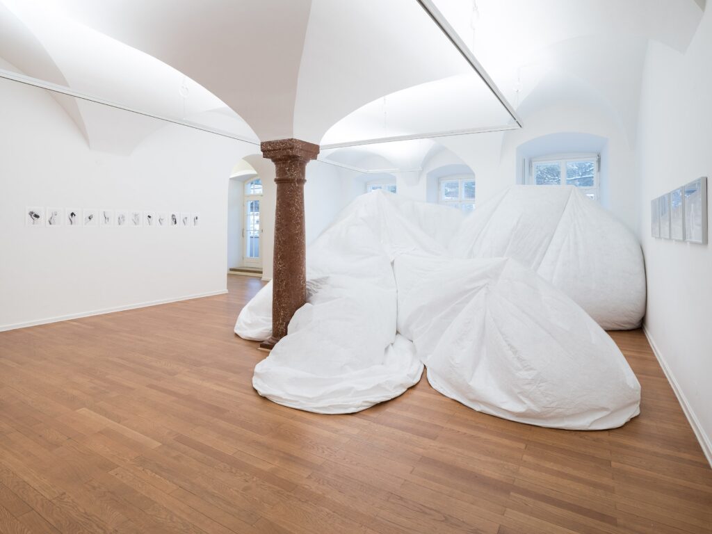Ausstellungsansicht-Kunst-im-Traklhaus-2023-ganz-viele-dinge-Erik-Hable-Nadine-Weixler-Foto-Rudolf-Strobl-27