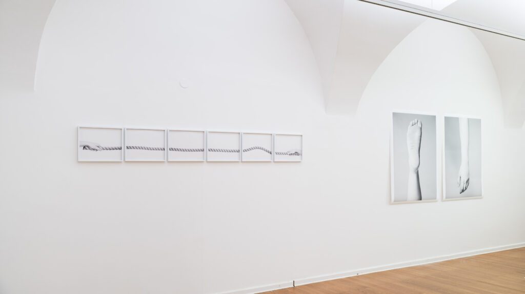 Ausstellungsansicht-Kunst-im-Traklhaus-2023-ganz-viele-dinge-Erik-Hable-Nadine-Weixler-Foto-Rudolf-Strobl-37