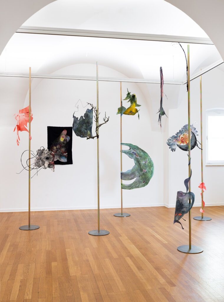 Faistauerpreis-2023-Ausst.ansicht-Traklhaus-Sophia-Mairer-Foto-Rudolf-Strobl