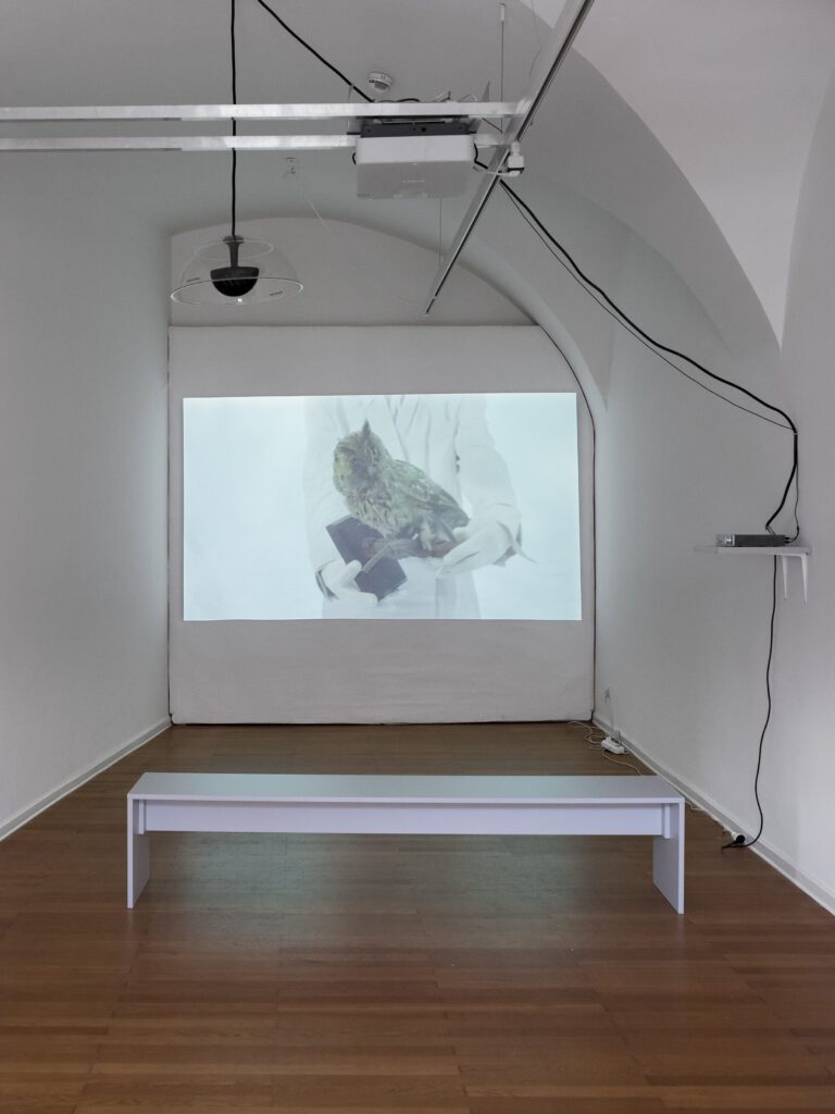 Kunst-im-Traklhaus-Ausstellung-Restrisiko-Sigrid-Langrehr-Foto-Rudolf-Strobl-3