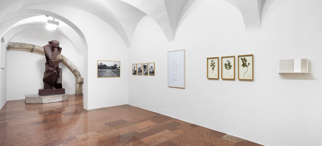 Ausstellung-Kunstankaeufe-2020_22-Teil-1-Gwiggner-Backhaus-u-Froschauer-Kaar-Senfter-Steiner-Foto-Rudolf-Strobl