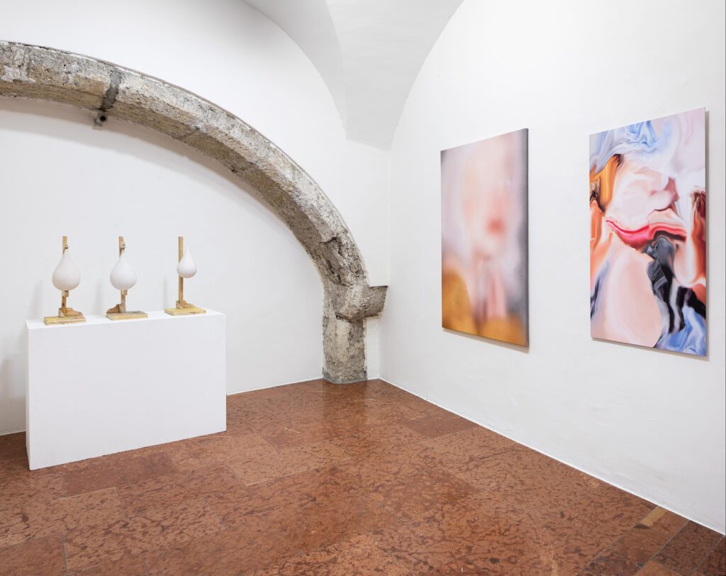 Ausstellung-Kunstankaeufe-2020_22-Teil-2-Fink-Peschek-Foto-Rudolf-Strobl