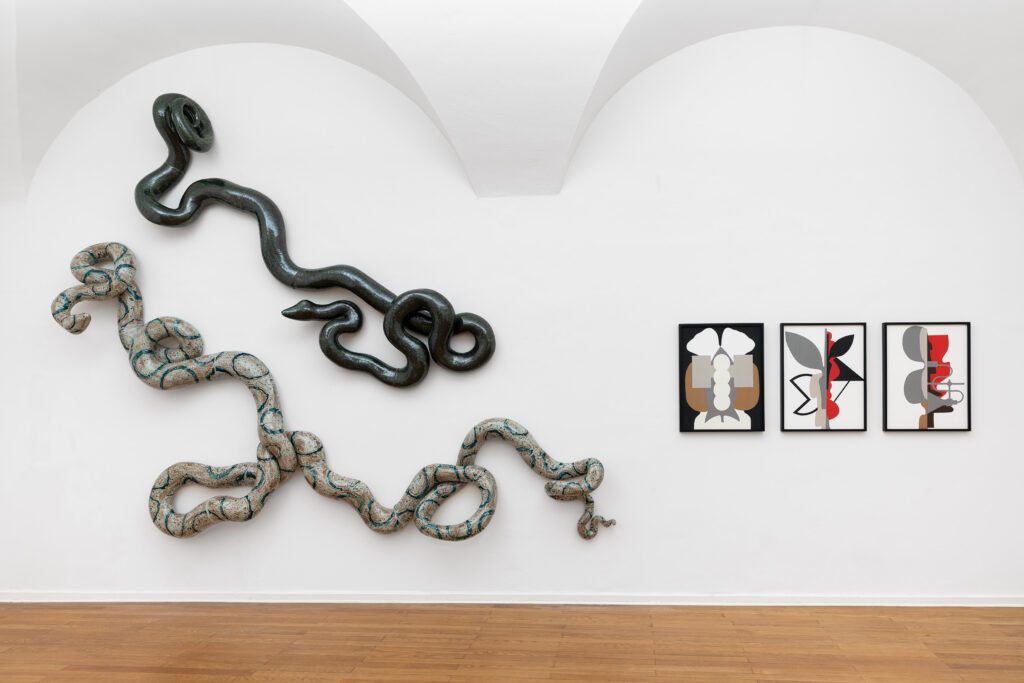 Ausstellung-Kunstankaeufe-2020_22-Teil-2-Tusch-Gruber-Foto-Rudolf-Strobl