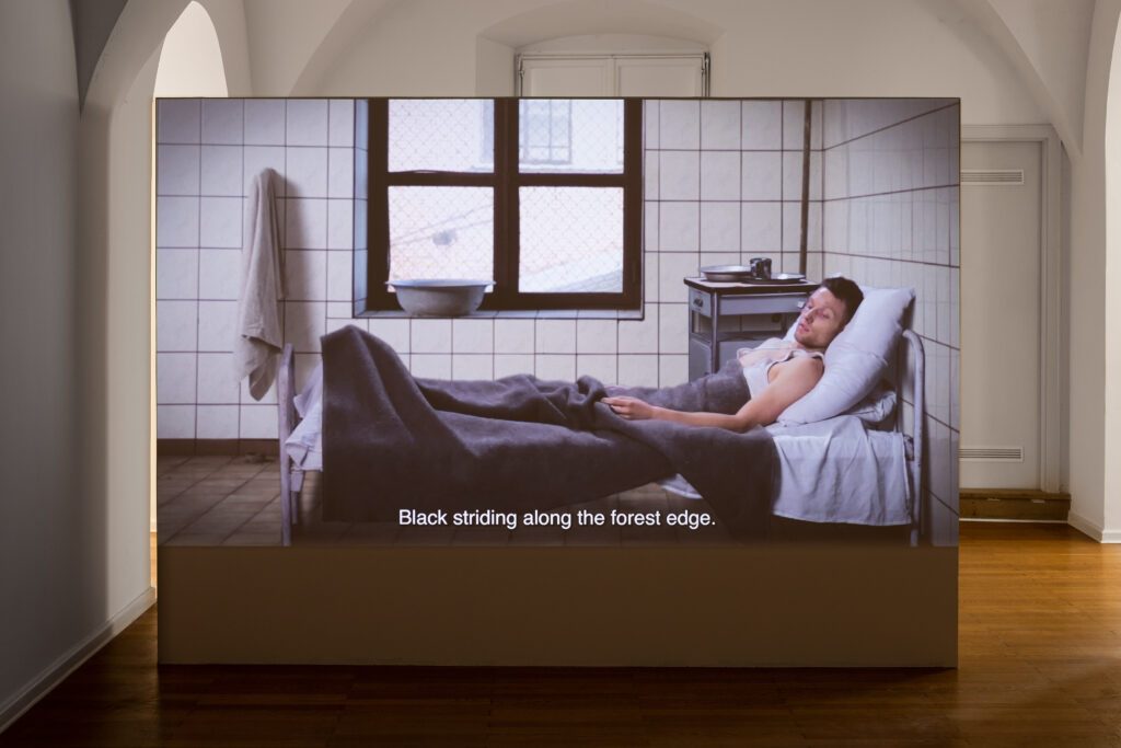 Ausstellungsansicht-Karol-Radziszewski-70-Jahre-Sommerakademie-Kunst-im-Traklhaus-2023-Foto-Rudolf-Strobl-23