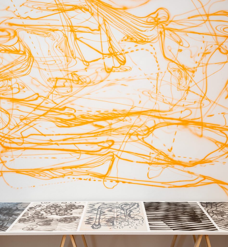 Ausstellungsansicht Schwerpunkt Druckgraphik 2022, Christian Schwarzwald © Rudolf Strobl