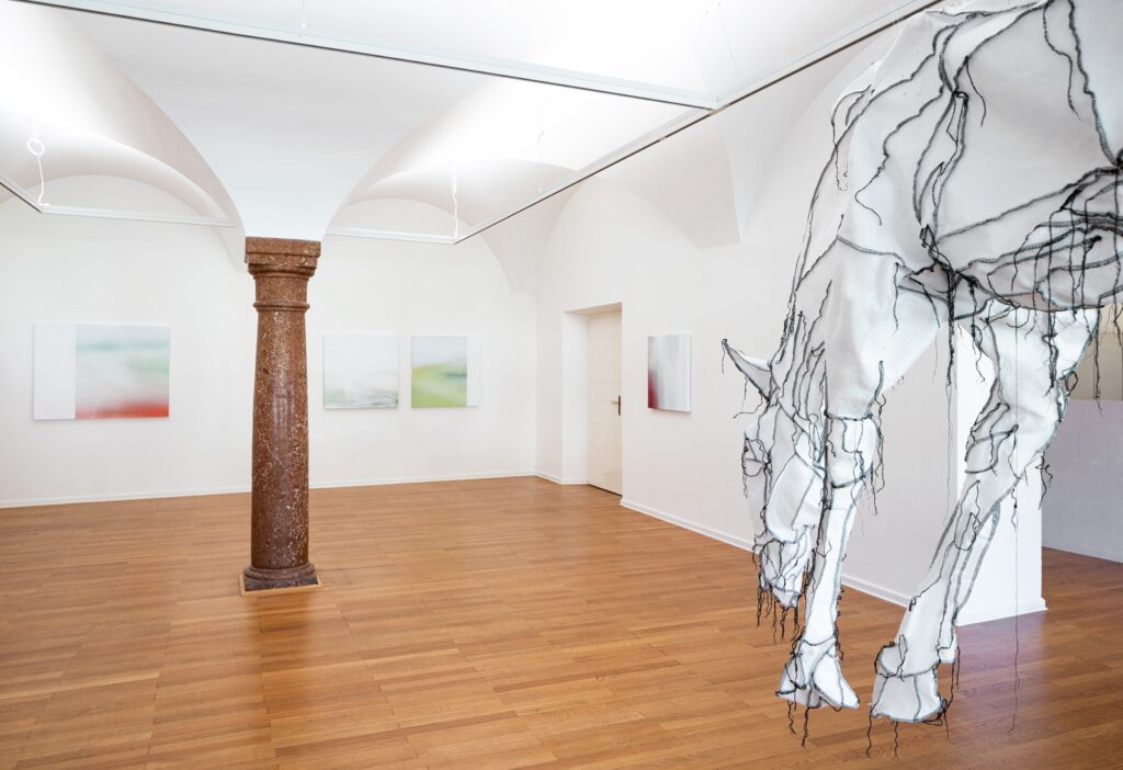 Ausstellung-Traklhaus-2020-Bechtold-Diamant-Foto-Rudolf-Strobl-1