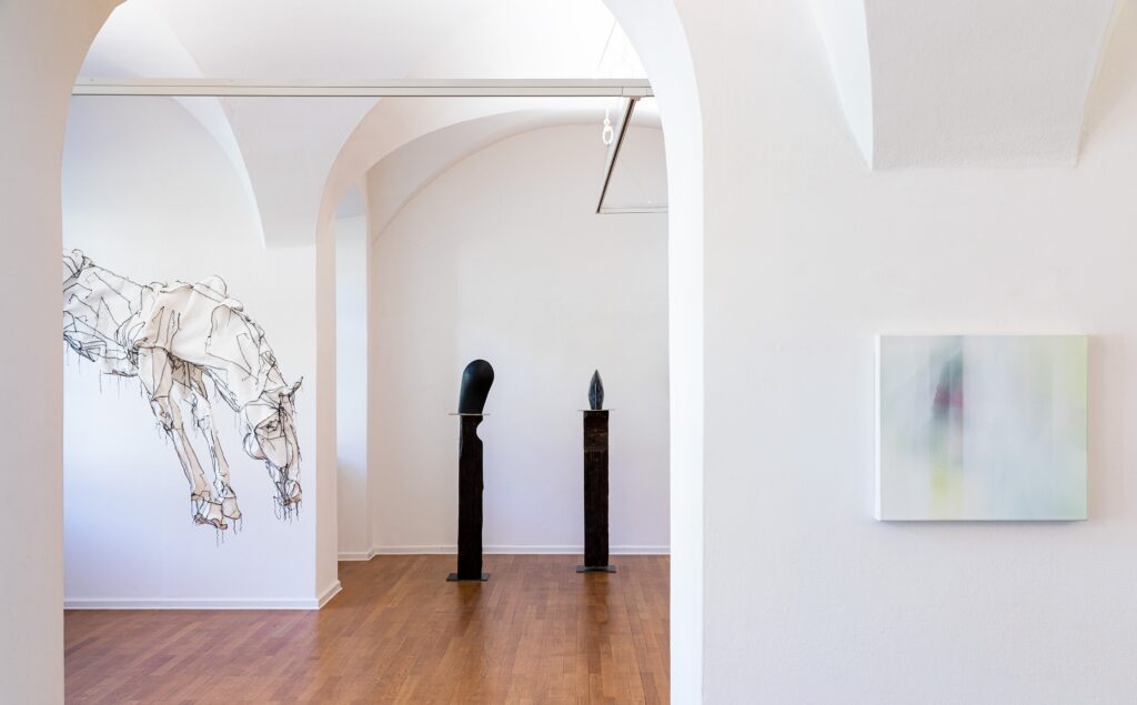 Ausstellung-Traklhaus-2020-Diamant-Denz-Bechtold-Foto-Rudolf-Strobl