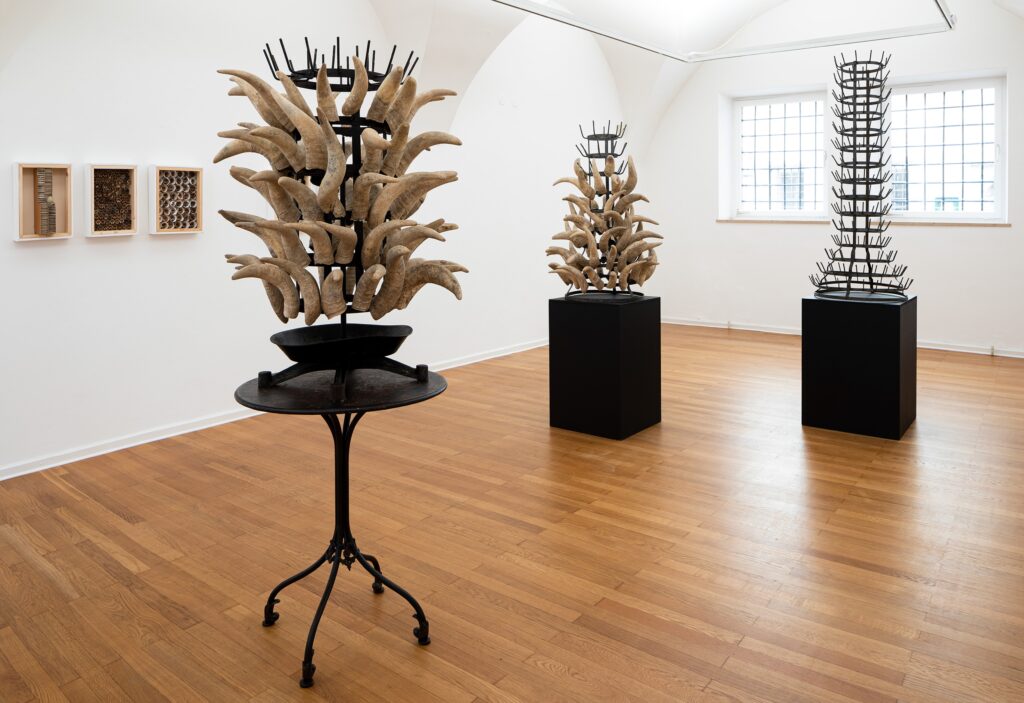 Ausstellung-Traklhaus-2020-Rosc-Foto-Rudolf-Strobl-1