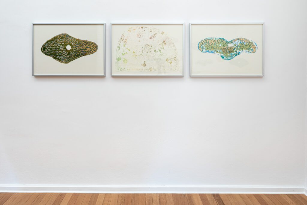 Ausstellung-Vivian-Nattrodt-Kunst-im-Traklhaus-2022-Foto-Rudolf-Strobl-4-1