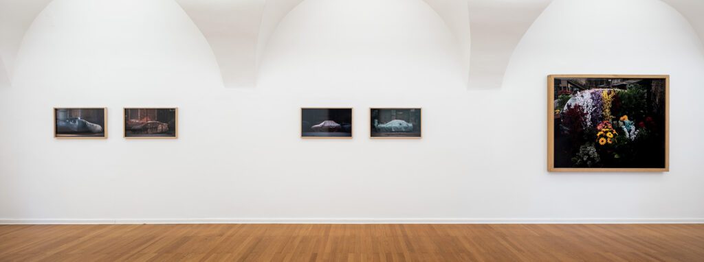 Ausstellungsansicht-Peter-Garmusch-Foto-Rudolf-Strobl-1