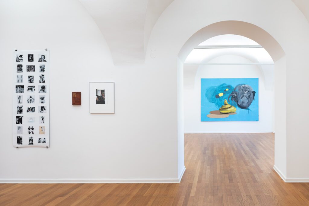 Ausstellungsansicht-Traklhaus-gr.-Kunstpreis-Michael-Mauracher-Ashley-Hans-Scheirl-Foto-Rudolf-Strobl-2-1