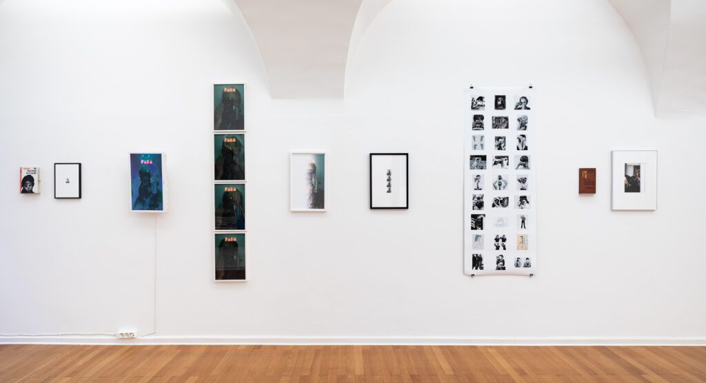 Ausstellungsansicht-Traklhaus-gr.-Kunstpreis-Michael-Mauracher-Foto-Rudolf-Strobl-1