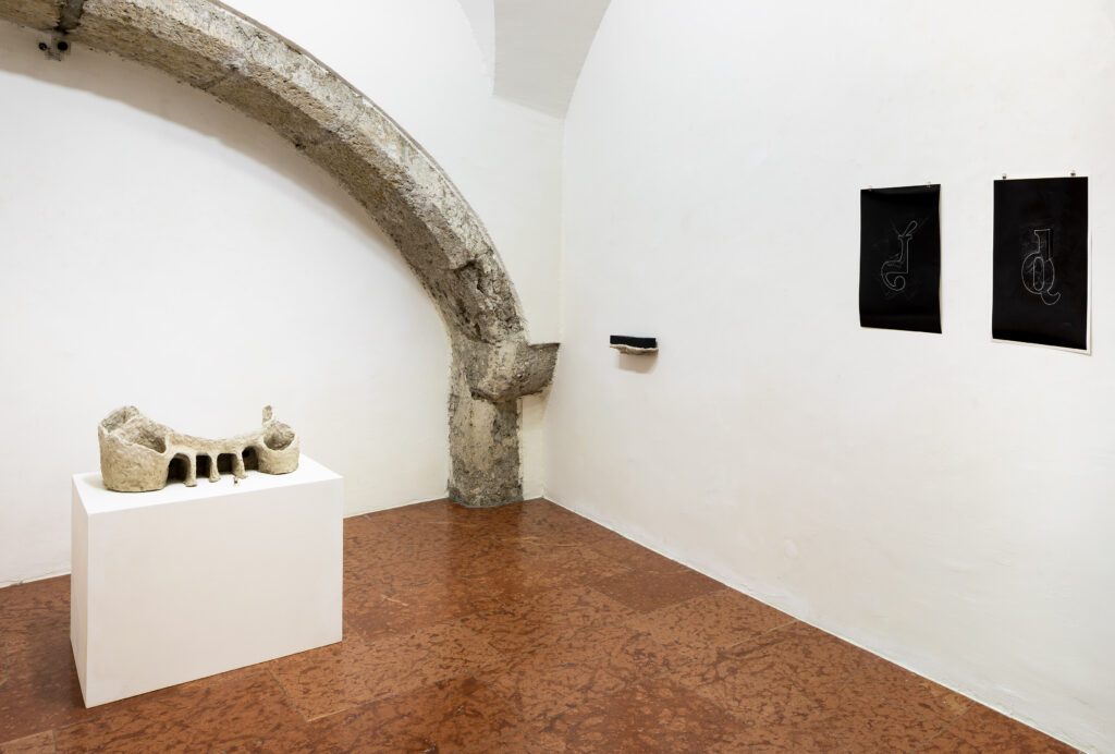 Kohlhuber-Isabella-Ausstellungsansicht-Traklhaus-Foto-Rudolf-Strobl-3