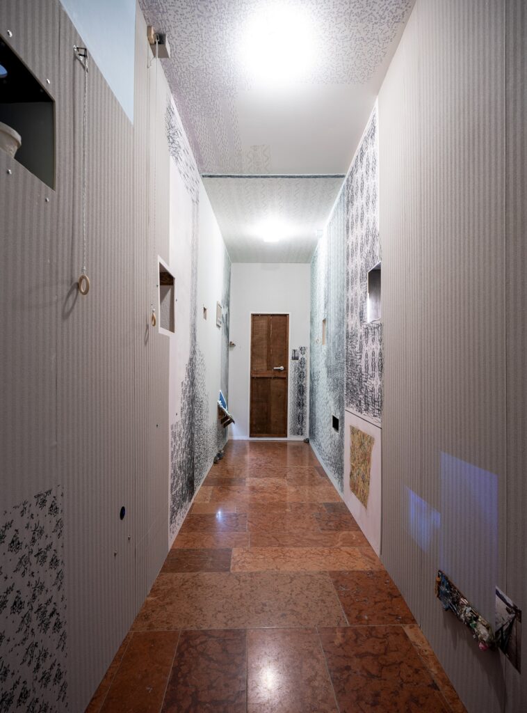 Riepler-Linus-Ausstellungsansicht-Traklhaus-Foto-Rudolf-Strobl-1