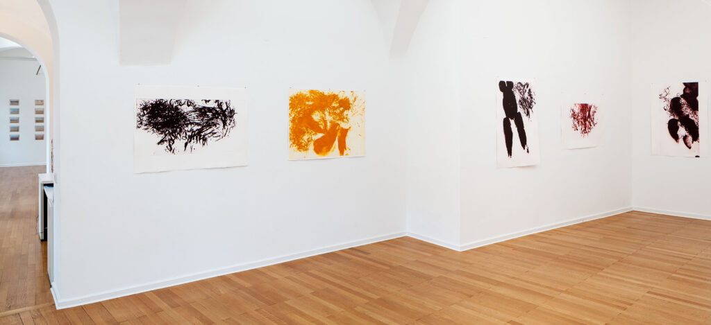 Ausstellungsansicht-Pavla-Czeinerova-Foto-Rudolf-Strobl-2-1