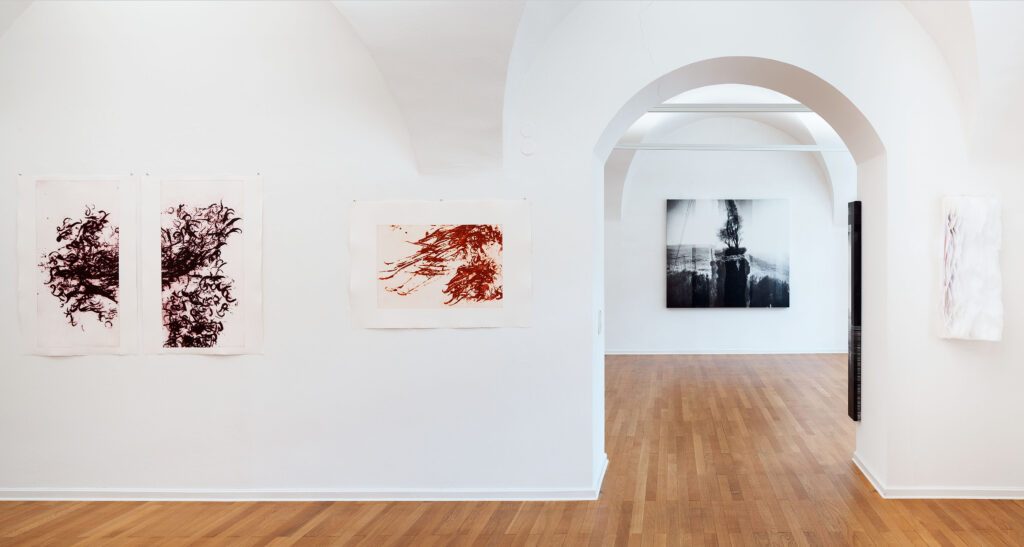 Ausstellungsansicht-Pavla-Czeinerova-Tina-Greisberger-Foto-Rudolf-Strobl-1