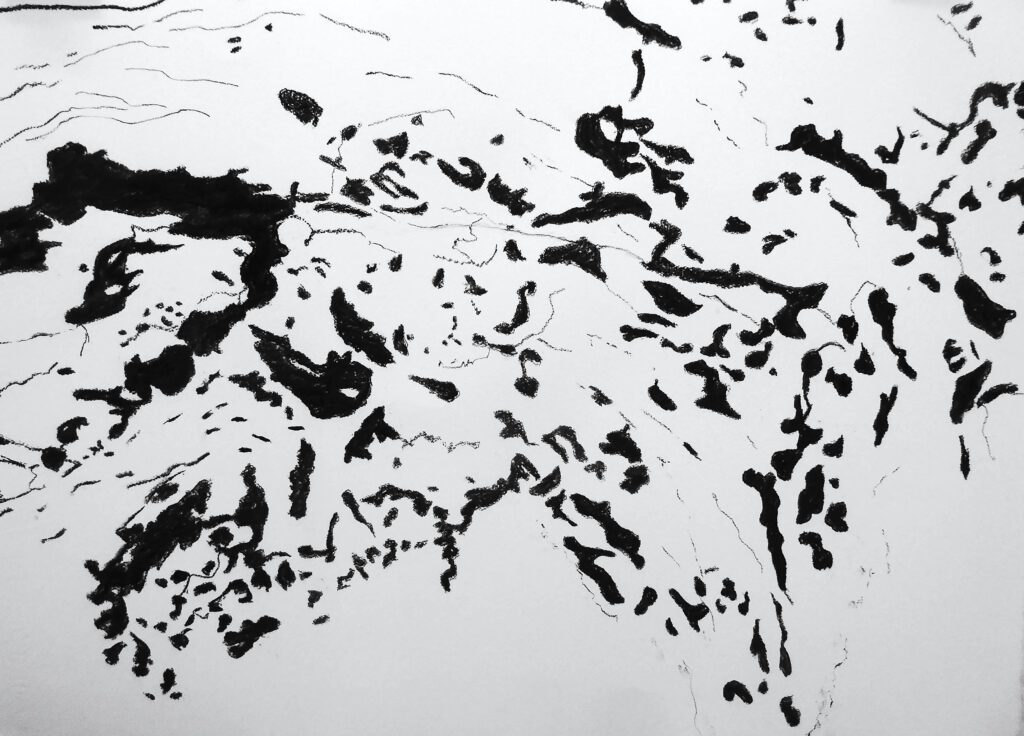 Brunsteiner-des-Holzwurms-Arbeit-70x100cm-Kohle-auf-Papier