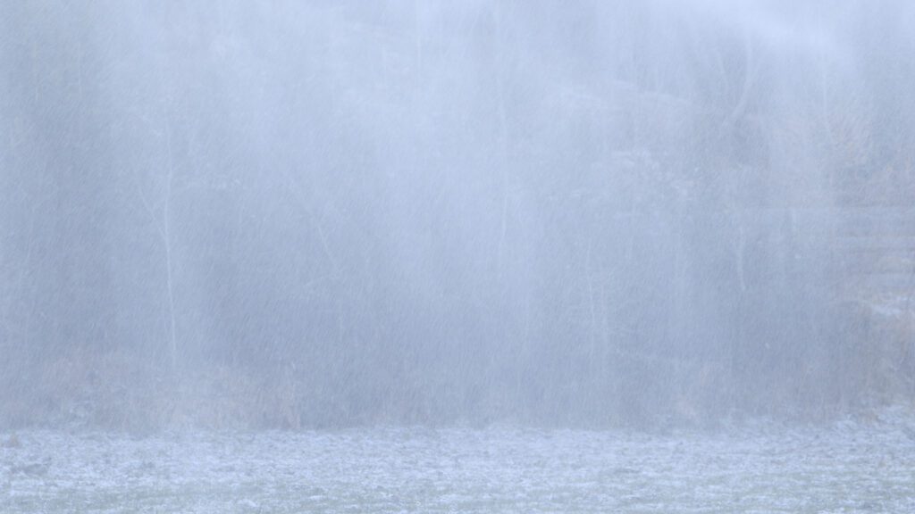 Obholzer_5C40rF_videostill-1