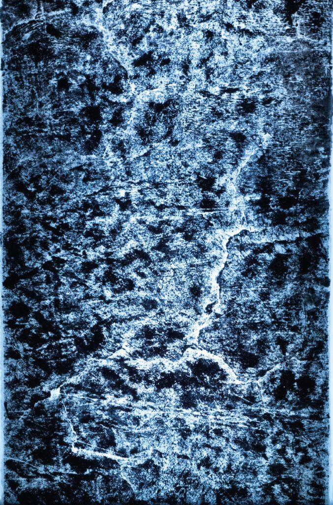 Schroeder-Frottage-2015-Tinte-auf-Papier-220-x-190-cm-1-1