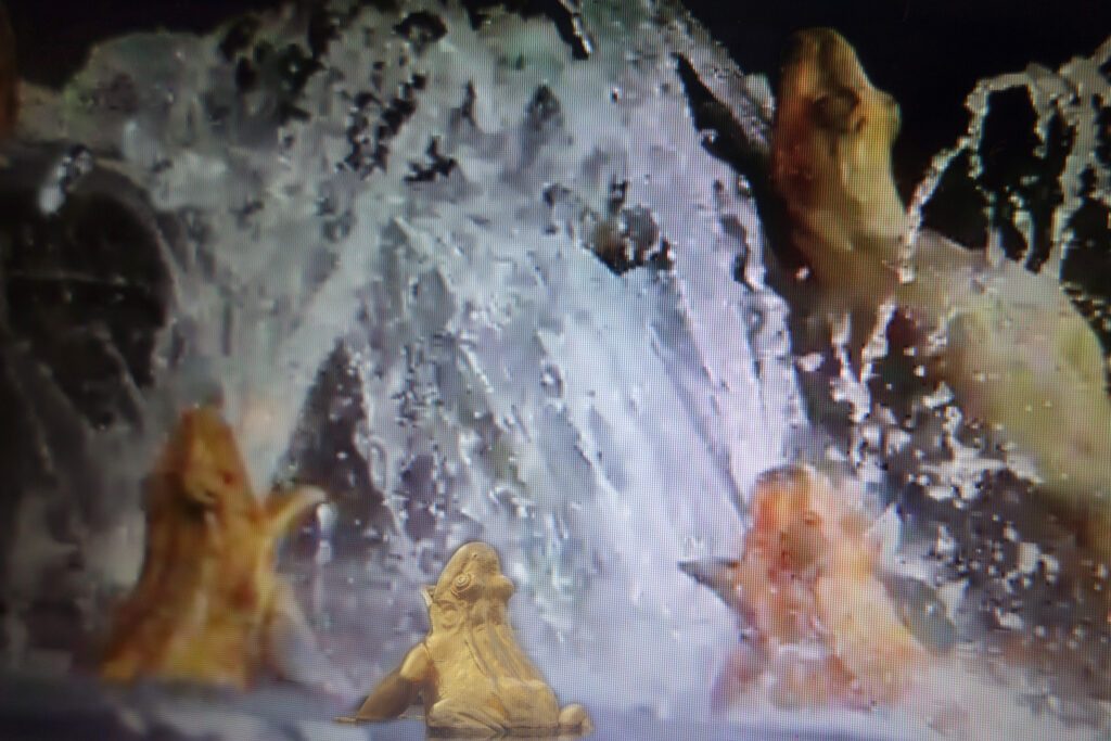 B3_Latona16EWoerndl-1